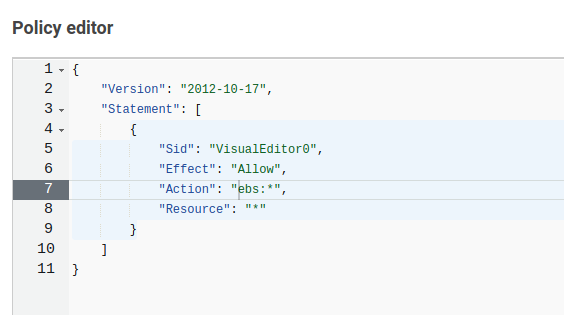 EBS Policy contents in JSON