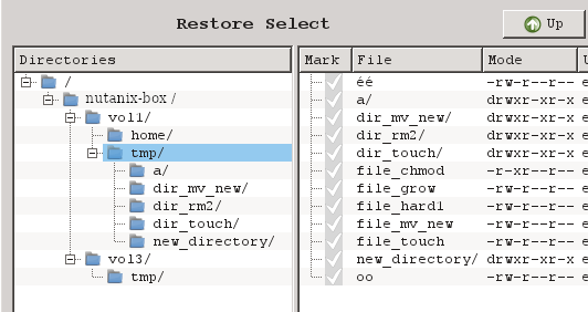 Nutanix and Volume Structure