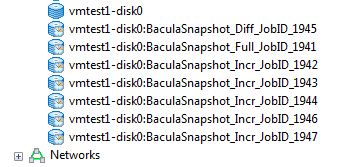 Backup snapshot set.